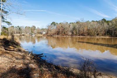 /international/us/tbd-lot-1-county-road-3545-joaquin-tx-110094922459/