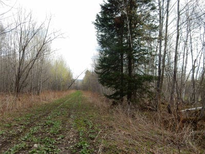 /international/us/burton-hill-road-barton-vt-110107665543/