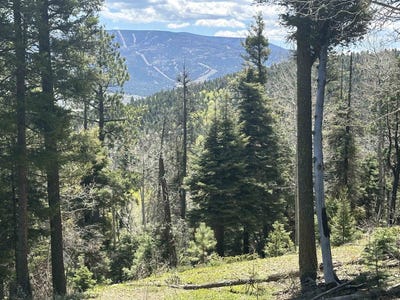 /international/us/lot-13-palo-flechado-ridge-road-angel-fire-nm-110092094684/