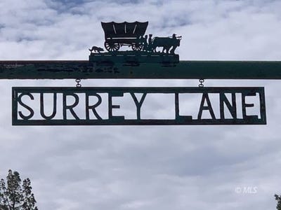 /international/us/surrey-ln-canby-ca-110099797859/