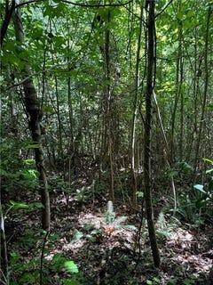 /international/us/5-2ac-dutton-road-gloucester-va-110101091937/