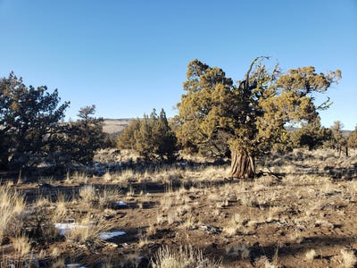 /international/us/1400-golden-view-ranch-bend-or-110106498342/
