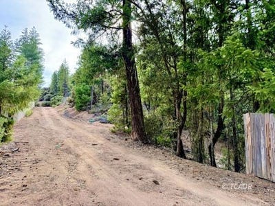/international/us/360-sandridge-ct-hayfork-ca-110108958625/