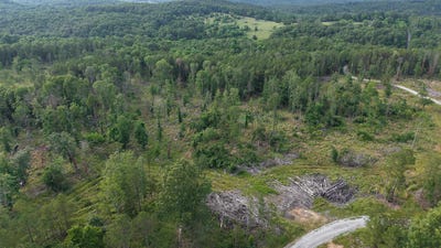 /international/us/26a-kerley-point-road-elizabeth-ar-110108905113/