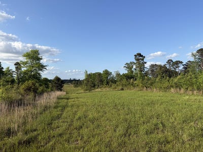 /international/us/8-acres-hwy-48-e-sandy-hook-ms-110107992164/