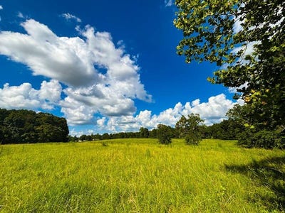 /international/us/496-county-road-496-lexington-al-110100900023/