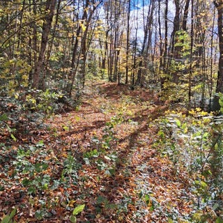/international/us/oak-lane-eden-vt-110109041445/