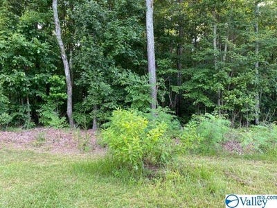 /international/us/sweetwater-lane-lot-16-rainbow-city-al-110056984142/