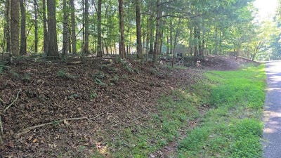 /international/us/lot-4-v-addington-road-blairsville-ga-110101125149/?lang=zh-tw