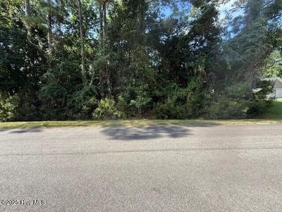 /international/us/0-cordgrass-road-hampstead-nc-110101024496/