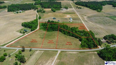 /international/us/tbd-hoffmeyer-road-lot-1-darlington-sc-110100127262/?lang=zh-tw