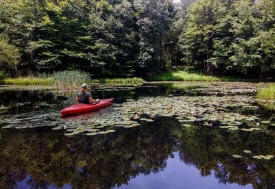 /international/us/35-trillium-muncy-valley-pa-110106441163/