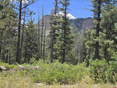/international/us/67-big-pine-trail-durango-co-110100772274/