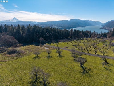 /international/us/sw-cherry-blossom-ln-whitesalmon-wa-110106070051/