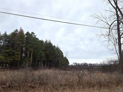 /international/us/hardys-road-gainesville-ny-110106721543/