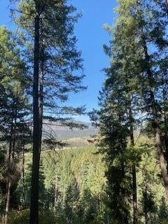 /international/us/los-griegos-lot-8-a-road-jemez-springs-nm-110090416869/