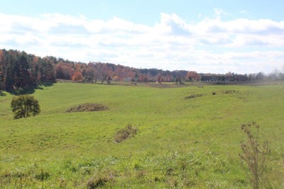 /international/us/maple-carriage-dr-lewisburg-wv-110104949389/