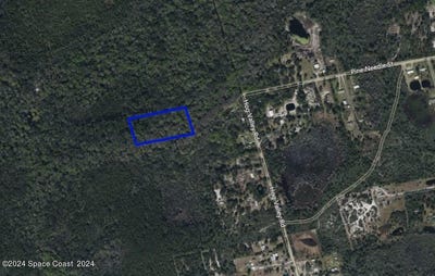 /international/us/xxx-pine-needle-street-mims-fl-110099582437/?lang=zh-cn