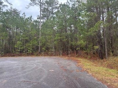 /international/us/lot-2-jacquelyn-court-bainbridge-ga-110098777250/