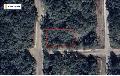 /international/us/tbd-annette-avenue-interlachen-fl-110100801778/