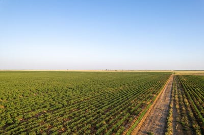 /international/us/shepard-street-abernathy-tx-110104854068/