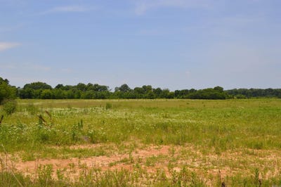 /international/us/40-acres-fisher-ar-110100159690/