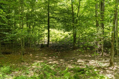 /international/us/tbd-taylor-road-duxbury-vt-110101153569/?lang=zh-cn