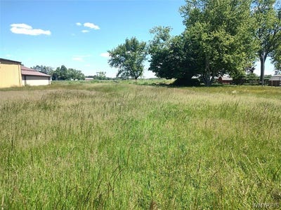 /international/us/brant-reserv-road-brant-ny-110108444399/