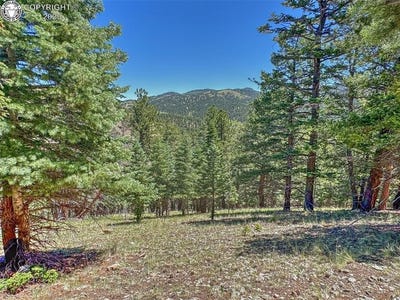/international/us/796-n-matterhorn-circle-westcliffe-co-110100891602/