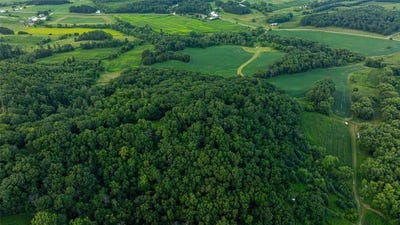 /international/us/n34701-county-road-s-blair-wi-110101430400/?lang=en