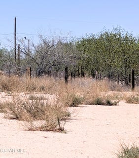 /international/us/21430-first-st-tornillo-tx-110099896356/