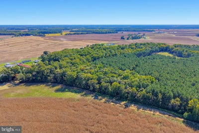 /international/us/dupont-boulevard-lot-1-frankford-de-110120462181/