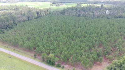 /international/us/e-lucy-berge-road-e-hazlehurst-ga-110119605429/