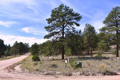 /international/us/hannah-cir-lot-13-westcliffe-co-110120155201/
