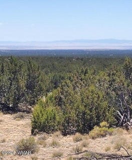 /international/us/tbd-cr-7111-st-johns-az-110094356695/