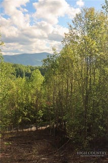 /international/us/lake-view-drive-lot-25-tbd-elk-park-nc-110119503946/