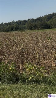 /international/us/green-river-lane-lot-31b-campbellsville-ky-110110337600/