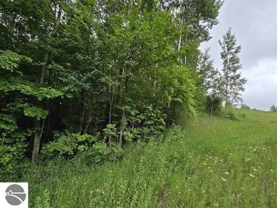 /international/us/00-n-9-road-mesick-mi-110101345198/?lang=zh-cn