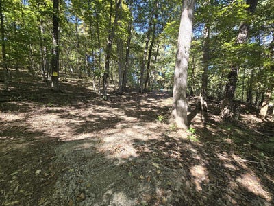 /international/us/3774-needmore-road-princeton-ky-110120419800/