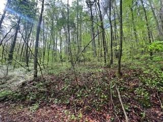 /international/us/lot-112-bear-den-trl-grandview-tn-110099138687/?lang=en