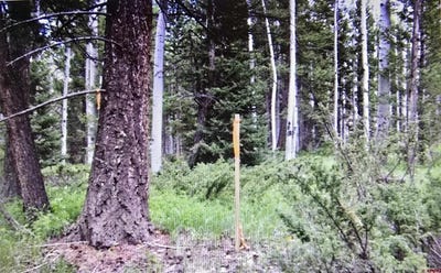 /international/us/425-crest-drive-cimarron-co-110098432551/