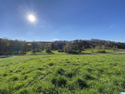 /international/us/6423-highway-174-lot-tract-4-springville-al-110090202900/
