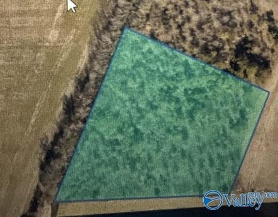 /international/us/croom-circle-lot-2-leighton-al-110109033824/