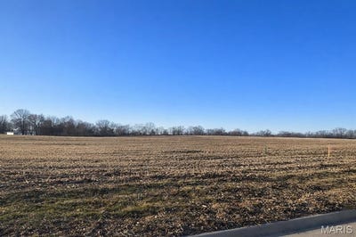 /international/us/2265-staunton-road-troy-il-110104965881/