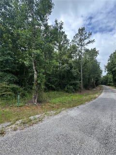 /international/us/old-marion-road-duncanville-al-110109493567/
