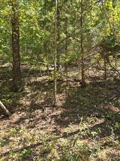 /international/us/000-county-road-421-birch-tree-mo-110103048474/