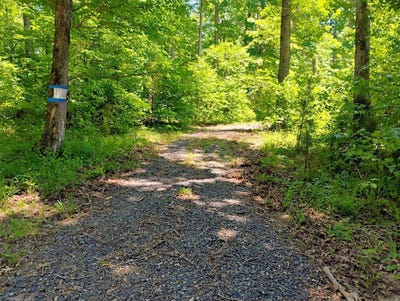 /international/us/tract-1-kulp-road-boles-ar-110099178926/