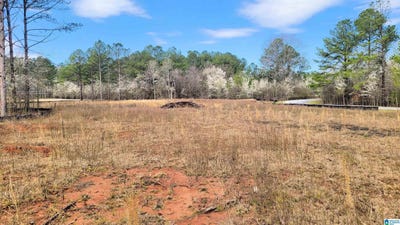/international/us/1085-chancellors-ferry-loop-lot-37-harpersville-al-110100130685/