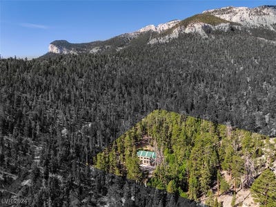 /international/us/apn-128-07-201-017-n-fork-deer-creek-mount-charleston-nv-110094244050/