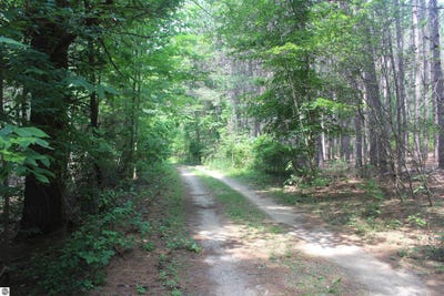 /international/us/0-whitefish-trail-kewadin-mi-110109807232/